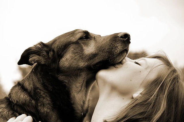 dievča dáva pusu psovi.jpg